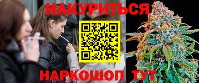 сатива Будённовск