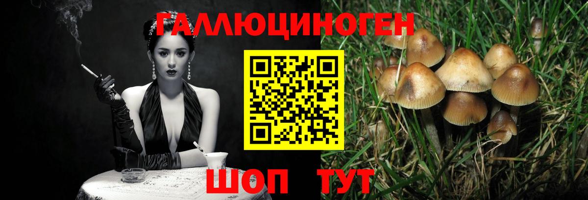 Галлюциногенные грибы GOLDEN TEACHER  Вход с VPN  Новоуральск 